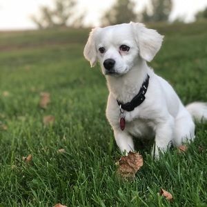 Meet your Posher, Jacob